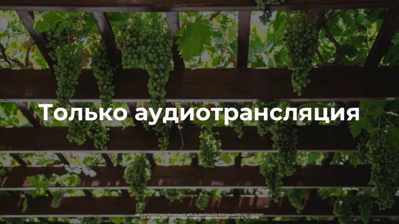 Прямая трансляция пользователя Церковь ЕХБ Колпино