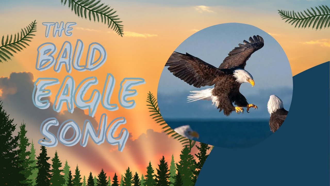 The Bald Eagle Song | Animal Songs for Kids | Bald Eagle Facts | Silly School Songs