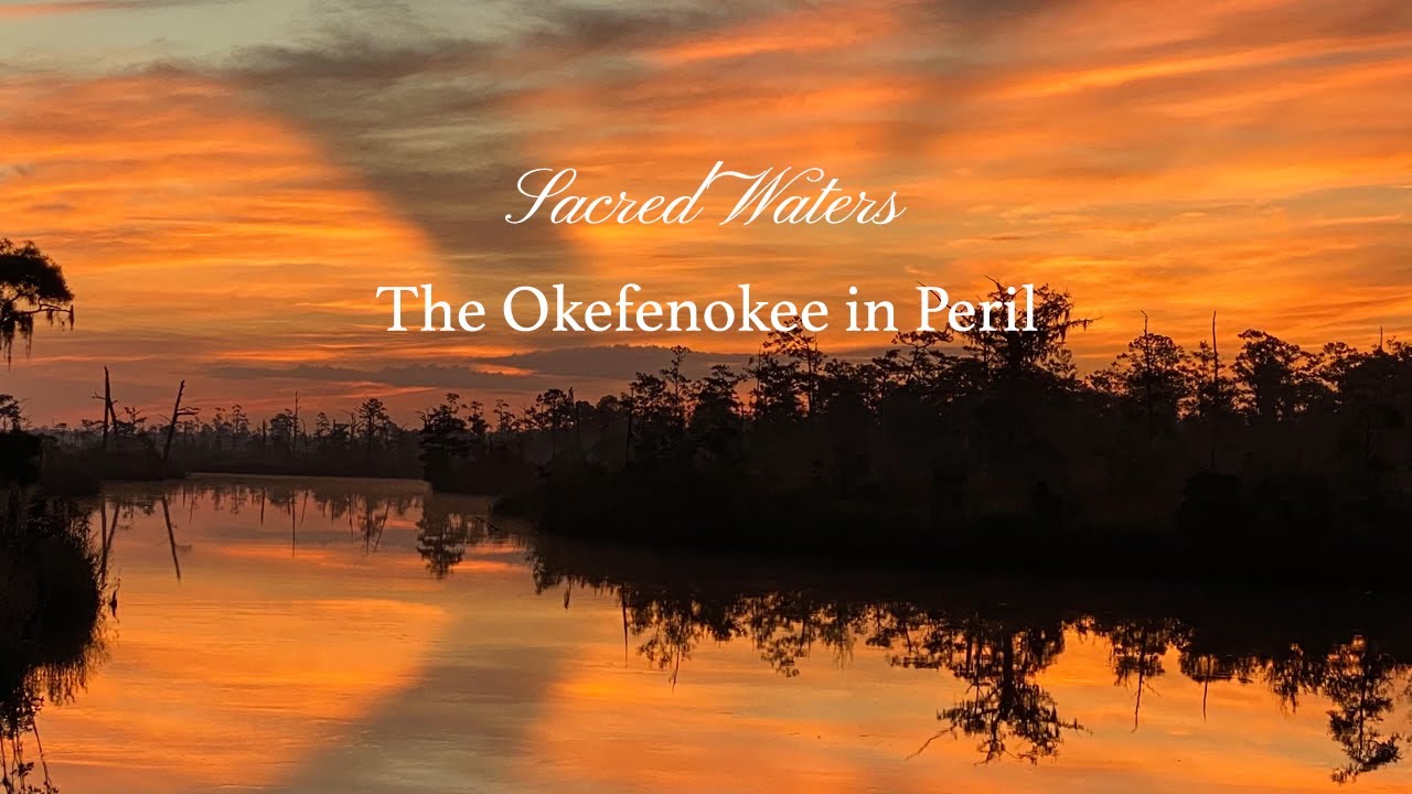 Sacred Waters:  The Okefenokee in Peril