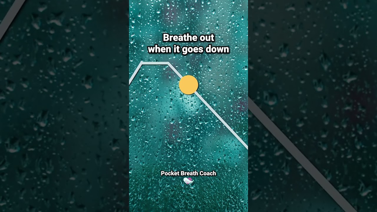 Deep Breathing Exercise for Stress: 4-2-6-2  #meditationmusic #breathing #breathingtechnique