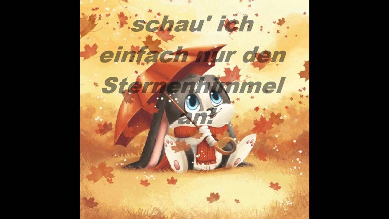 Schnuffel - Du bist mein Stern lyrics + English Translation + Download