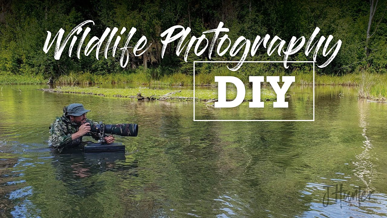 DIY Wildlife Photography Accessories