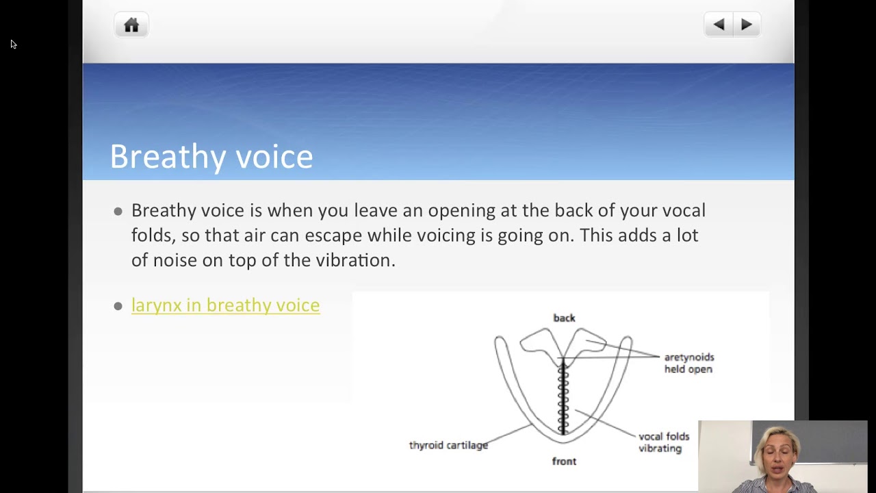 LNG220 Phonation