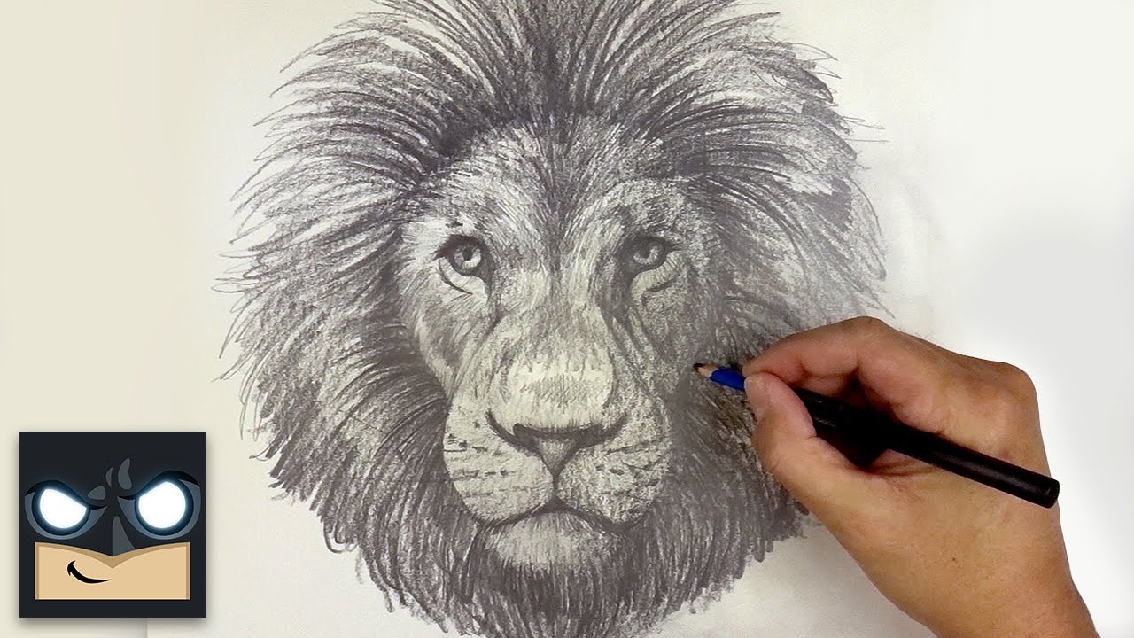 How To Draw a Lion | Beginner Pencil Tutorial (Step-by-Step)