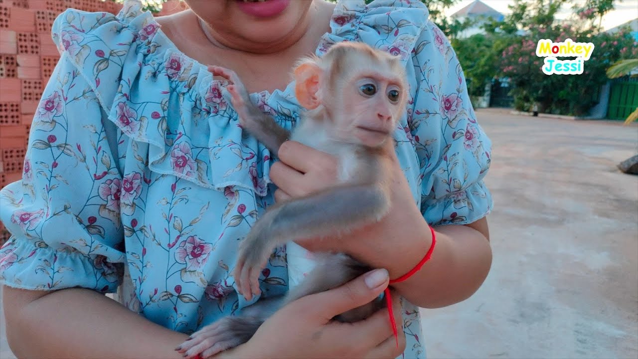 Welcome Jessi To New Family, Jessi Not Yet Sensible With New Mom And Nervous To New Environment