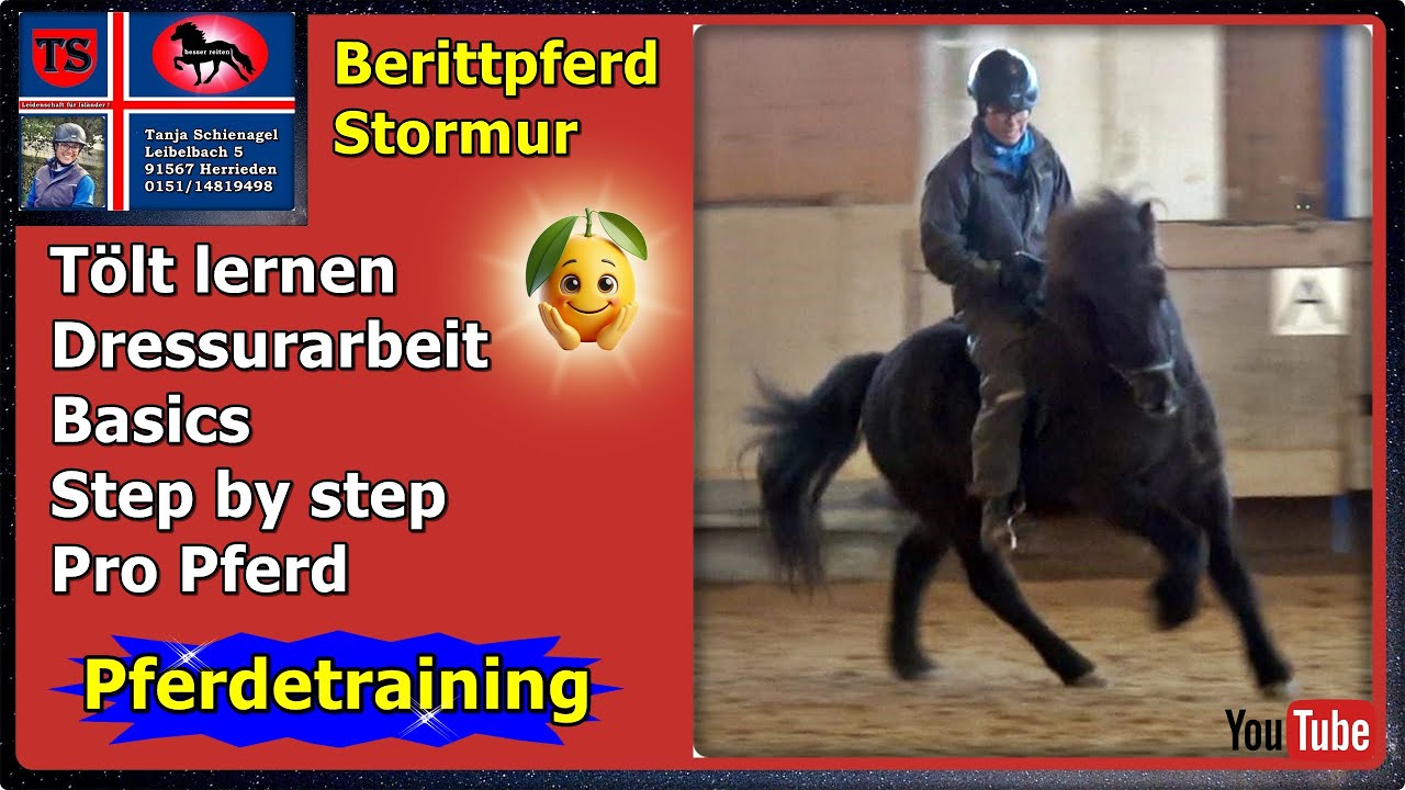 Stormur Beritt, Tölt lernen, Dressurarbeit, Basics, Isländer, Pferdetraining, Tanja Schienagel