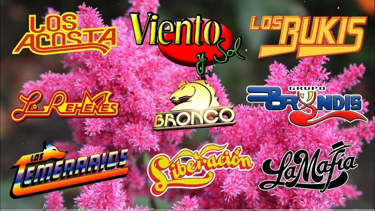 GRUPERAS 90S DEL RECUERDO - BRONCO, TEMERARIOS, BUKIS, ACOSTA, BRYNDIS, CAMINANTES, YONICS Y MAS