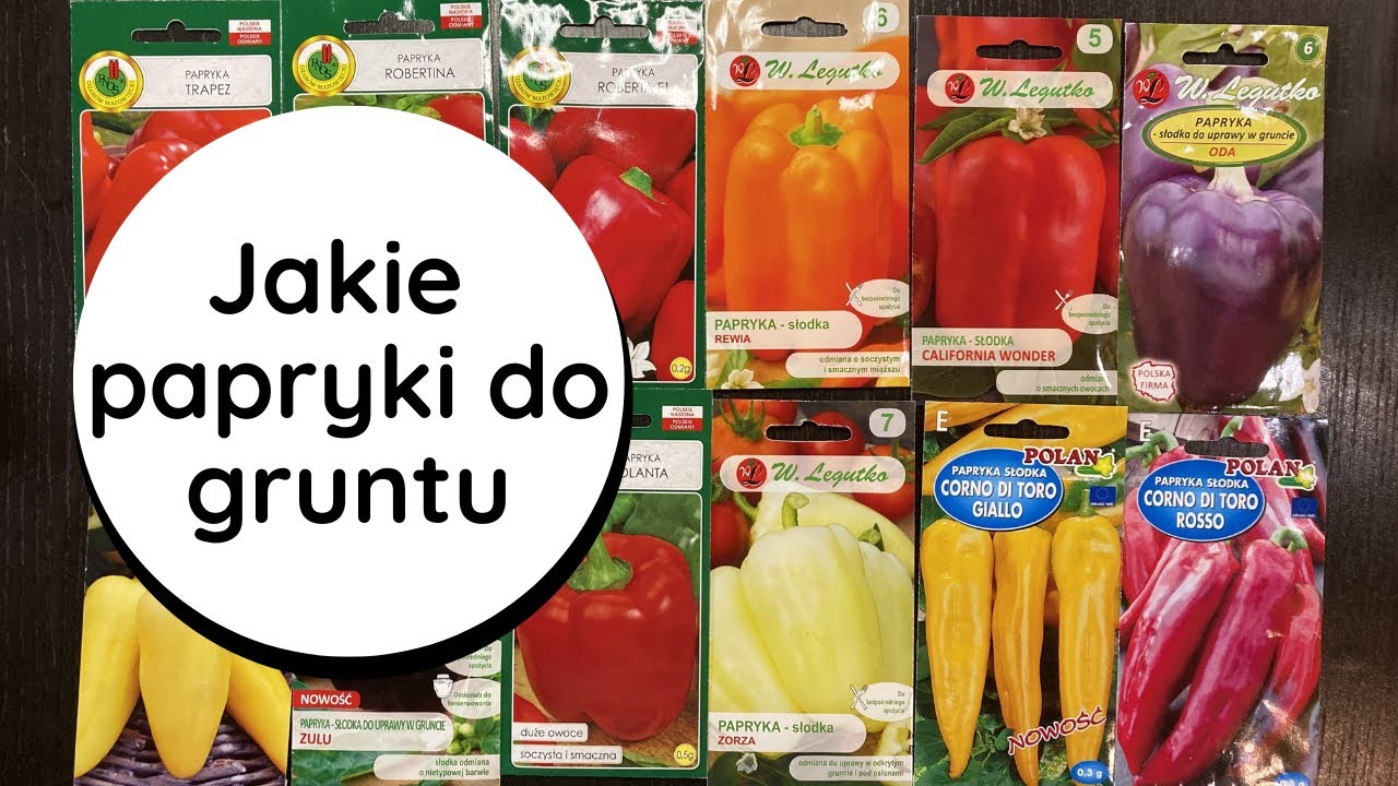 👍Polecane, bardzo wczesne papryki do uprawy w gruncie🌶️🫑 uprawa papryki, plenne odmiany do gruntu