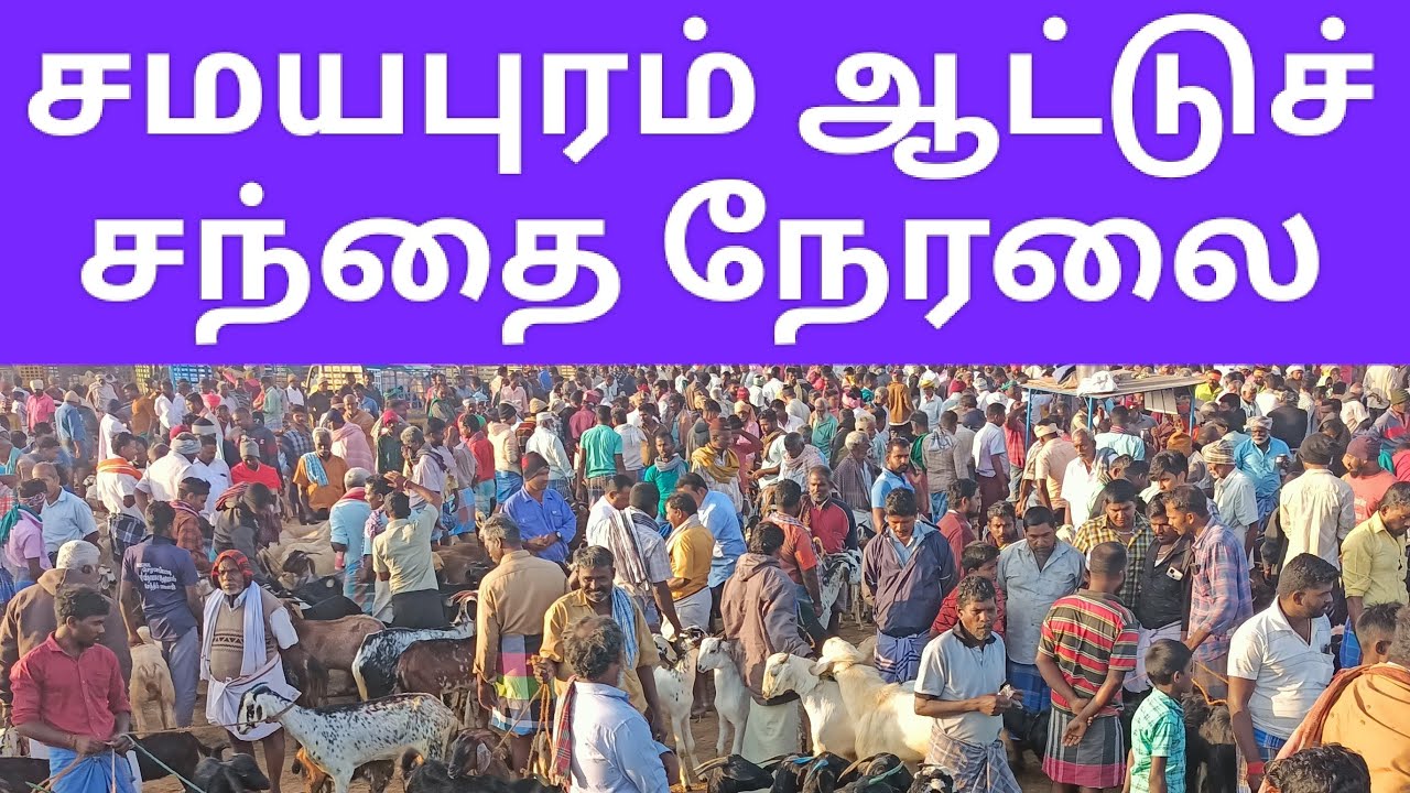 நேரலை - சமயபுரம் ஆட்டுச் சந்தை | Samayapuram goat market| samayapuram aattu santhai