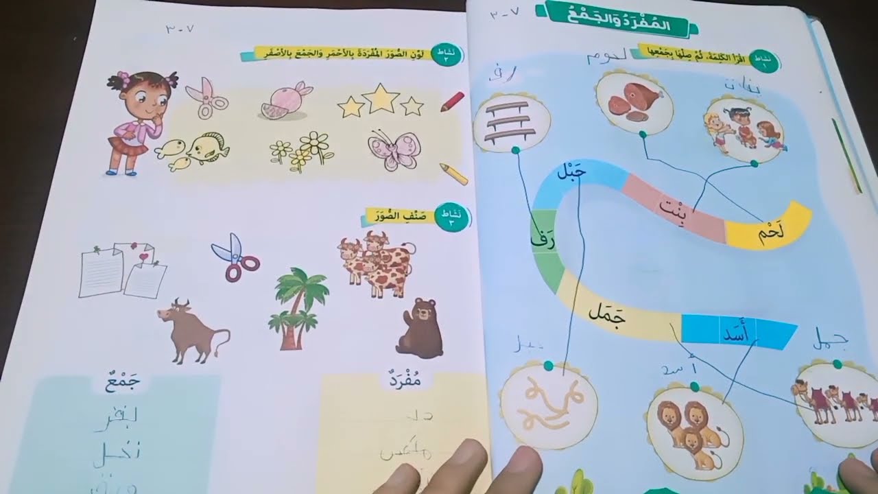 درس المفرد والجمع شرح منهج اللغه العربيه لكي جي 2 الترم الثاني كتاب تواصل