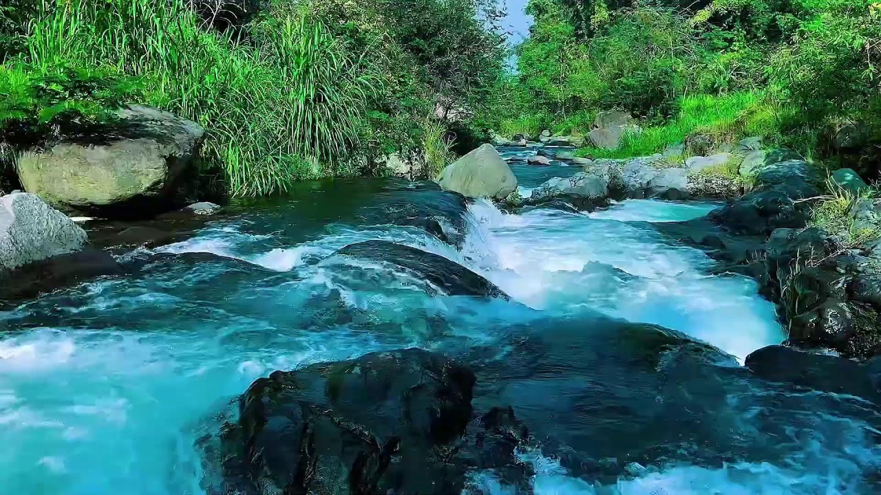 Forest River Water Flow Ambience, Mountain Stream, Sleep
