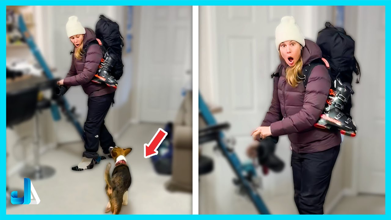 New Puppy Surprise 🐶 Heartwarming Reactions to Receiving a Puppy 🥰