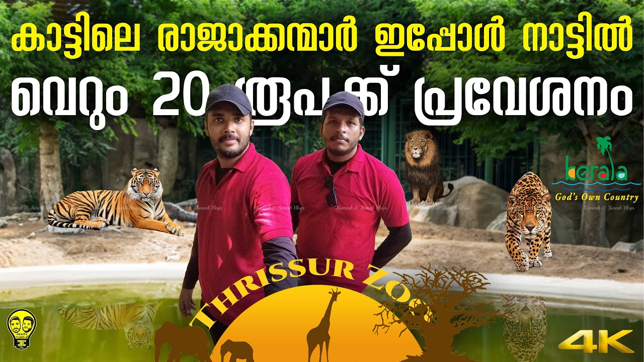 13 ഏക്കറിൽ തൃശ്ശൂരിലെ വമ്പൻ😳മൃഗശാല🦁 Kerala State Museum and Zoo Thrissur | Ramesh & Suresh Vlogs