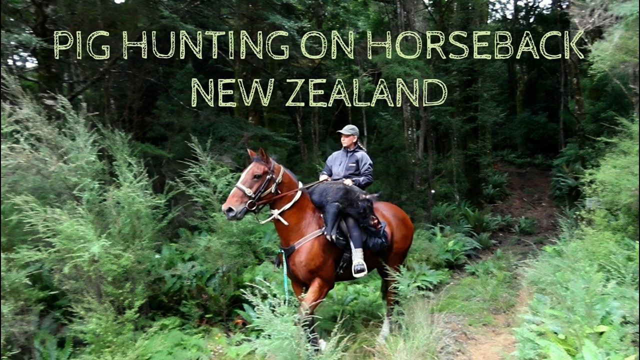 PIG HUNTING ON HORSEBACK IN NEW ZEALAND