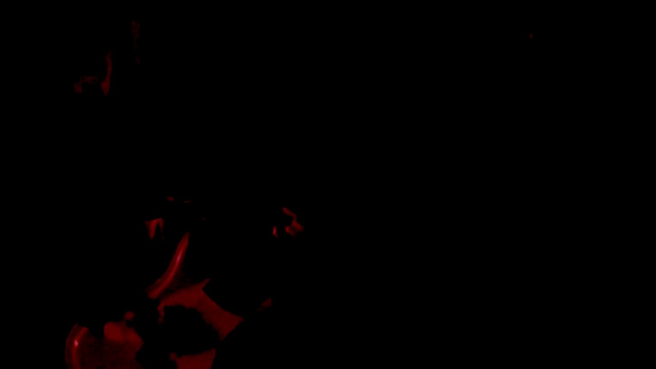 Wiegedood - Cataract || live @ #Roadburn / 013 Tilburg || 22-04-2018