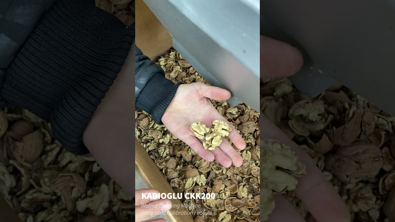 Walnut Cracking Machine Integrated Calibration Feature - Kadioglu CKK200