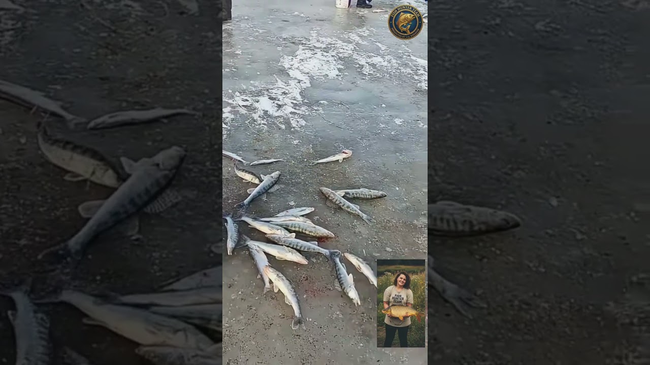 Frozen Lake Ice Fishing | Winter Survival & Massive Catch 