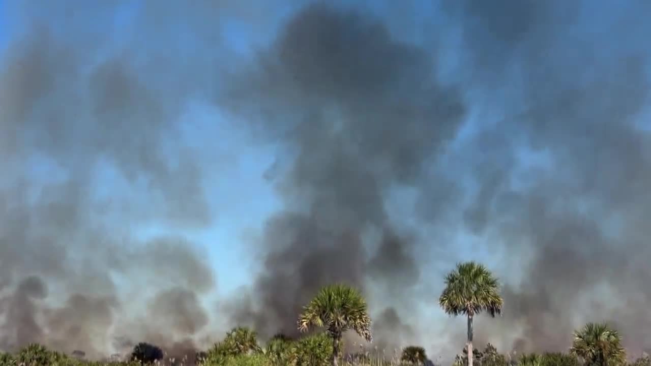 Big Cypress fire in Collier County grows to 35,000 acres, officials making progress