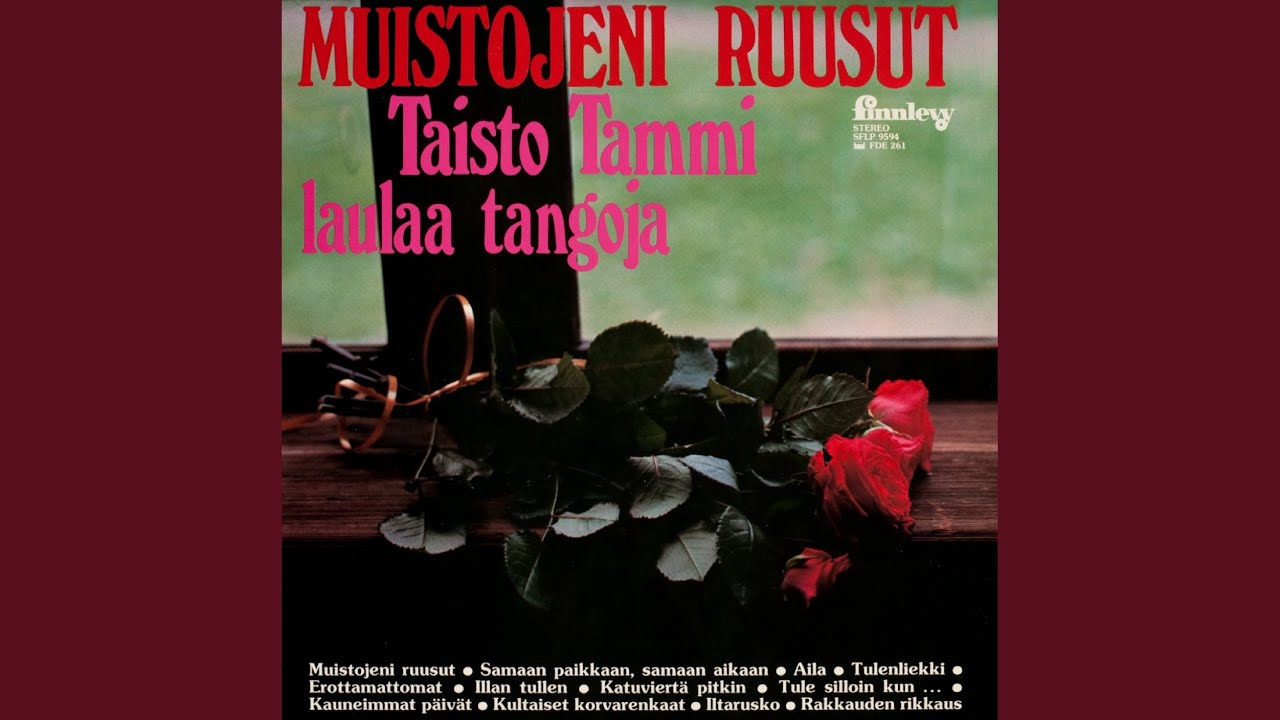 Kultaiset korvarenkaat