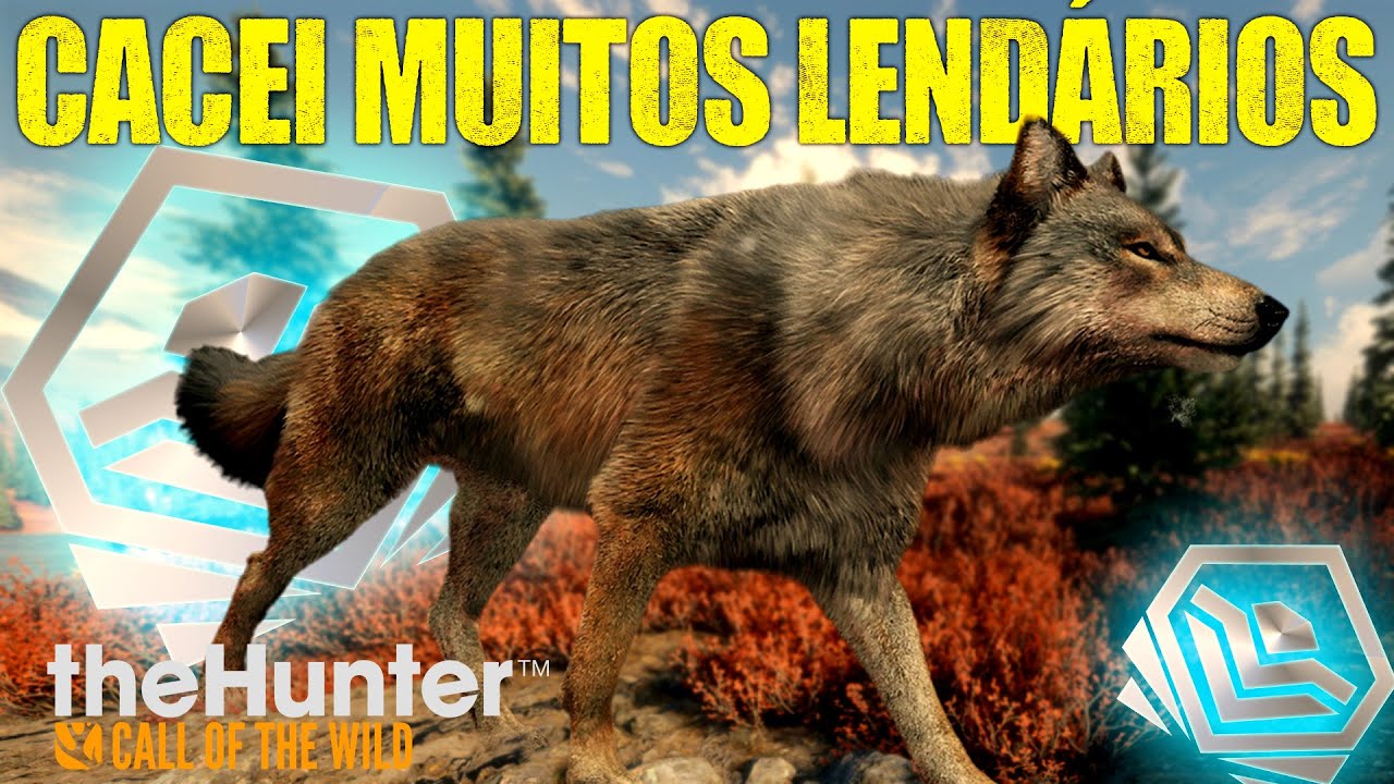 CACEI V&Aacute;RIOS LEND&Aacute;RIOS COM V&Aacute;RIOS RIFLES DIFERENTES