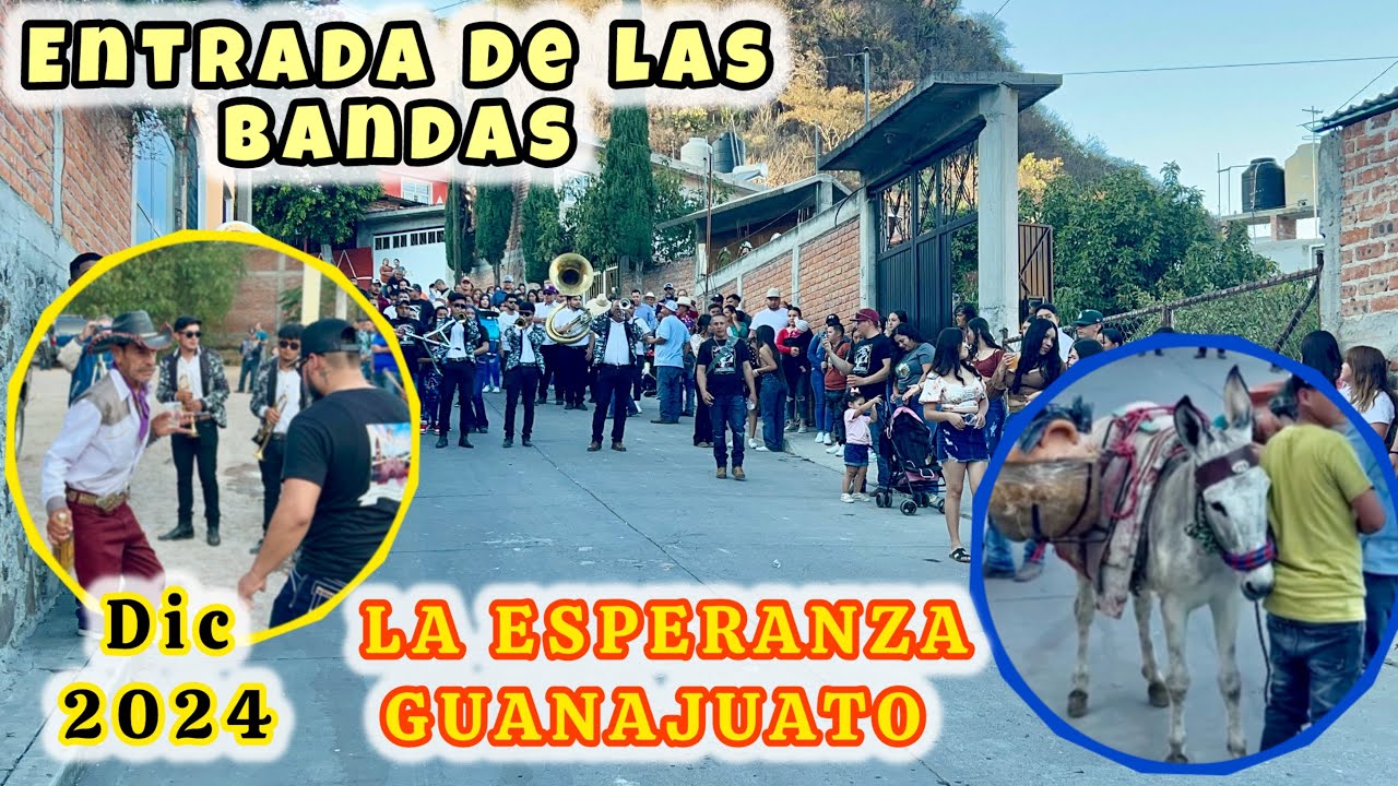 BURRITA Y ENTRADA DE LAS BANDAS DE LA FIESTA EN LA ESPERANZA GTO DIC 2024