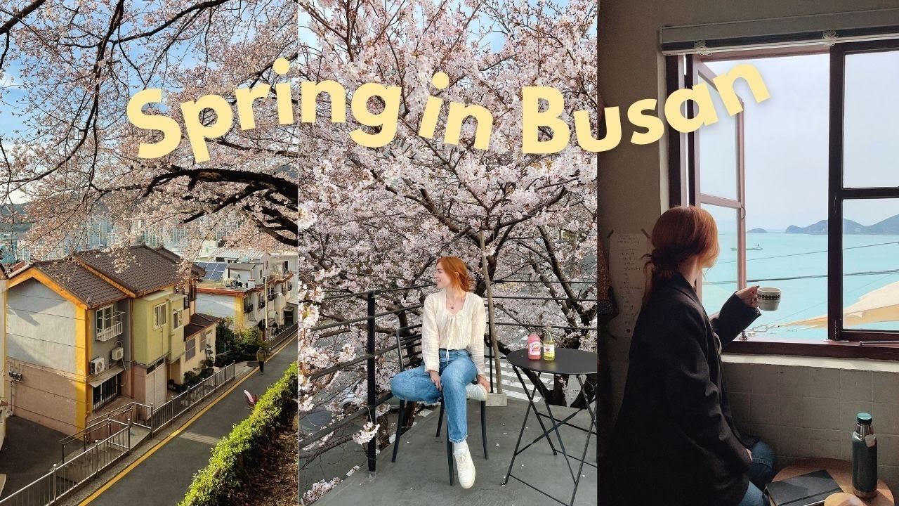 spring in busan, korea VLOG 🌸 cherry blossoms, gwanganlli beach, yeongdo island
