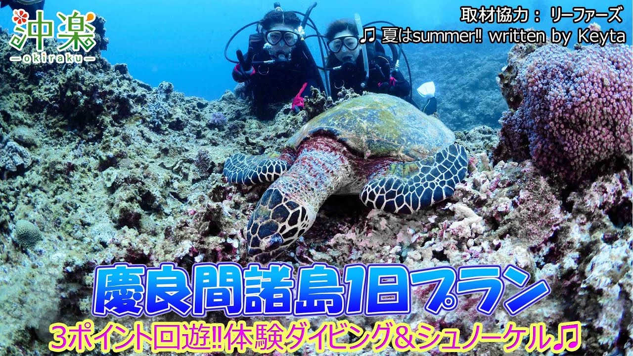 慶良間諸島１日プラン 体験ダイビング＆シュノーケリング★リーファーズ【沖楽】