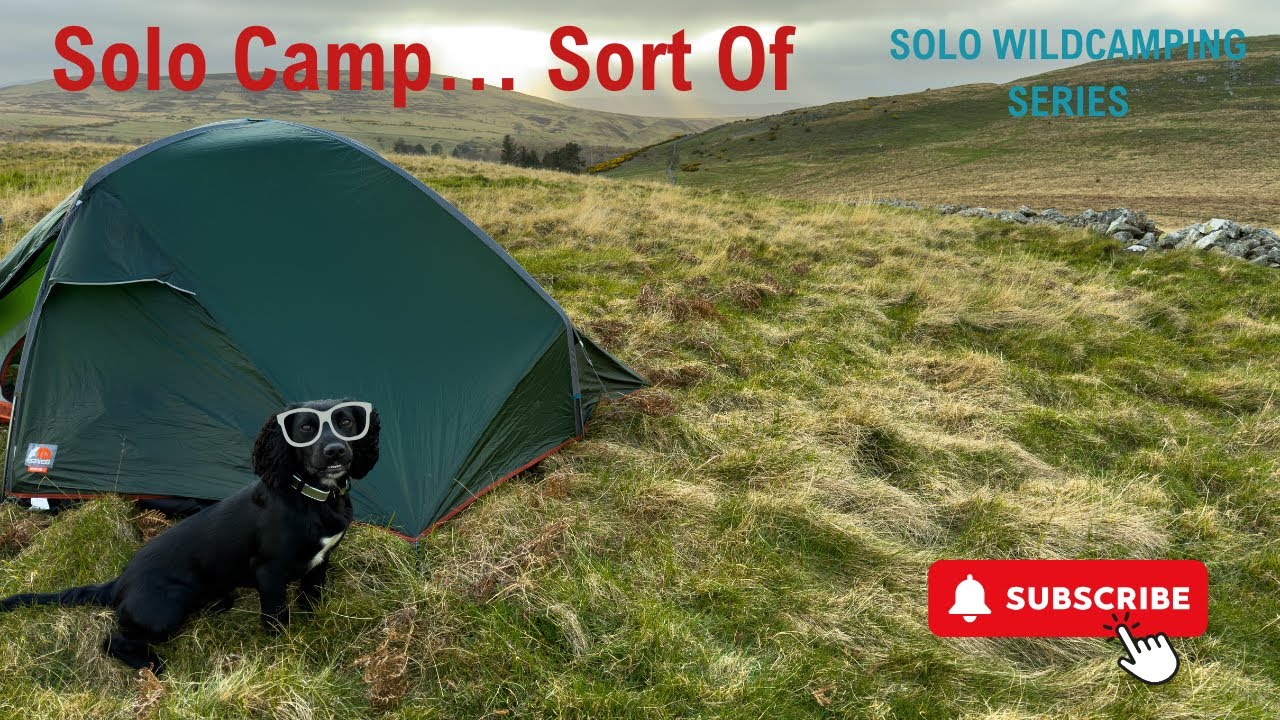 Solo Wild Camp with My Dog at Humbleton Hill | First Camp with Oscar  | Northumberland Adventure