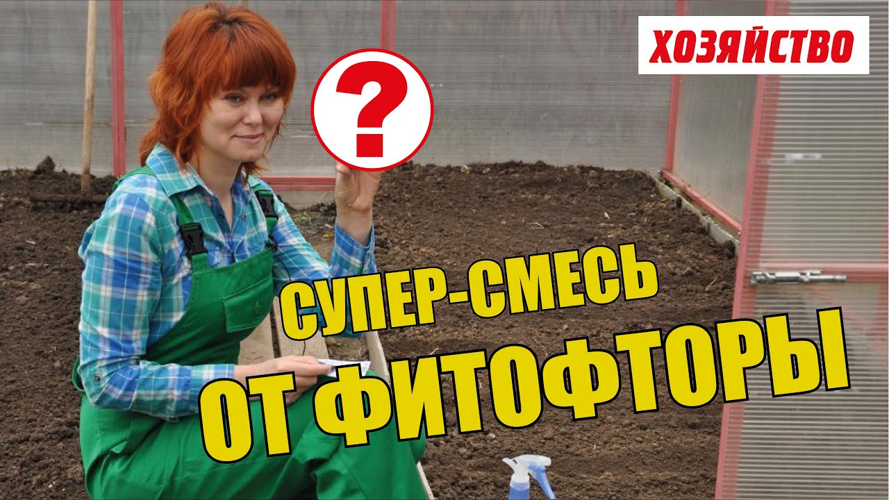 Суперсмесь против фитофторы на помидорах