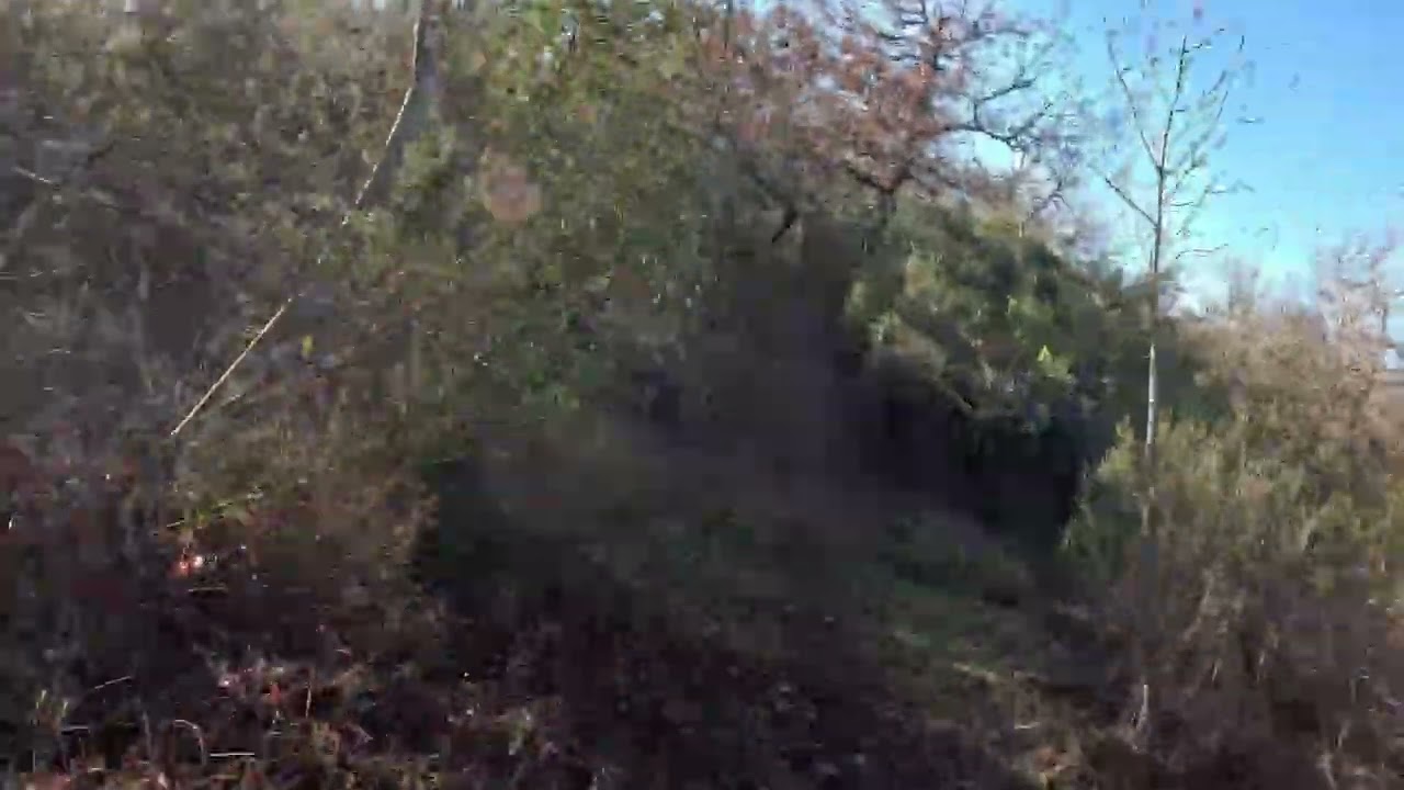 S. Track Primitivo con il foliage
