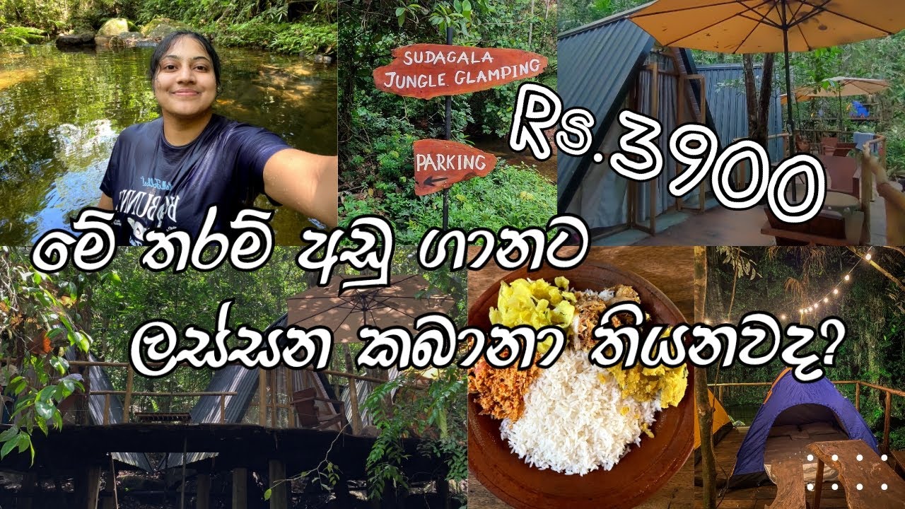 යමුද ආයෙත් සුදාගලට 🏕 බහුතර ඉල්ලීම පරිදි නැවතත් Glamping Tour එකක් ❤🌿 #camping #srilanka #foryou #new