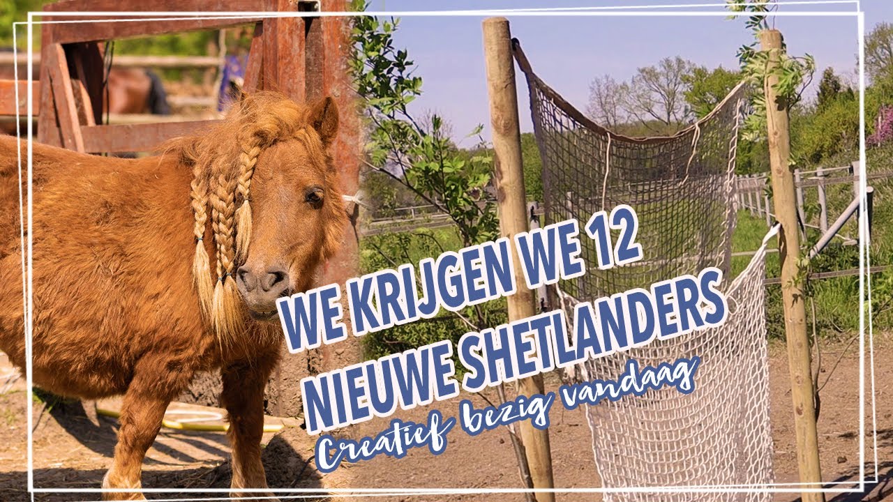 NINA gaat BIJNA BEVALLEN! + NIEUWE hooiplekken in de wei! || Paardzoektbaas