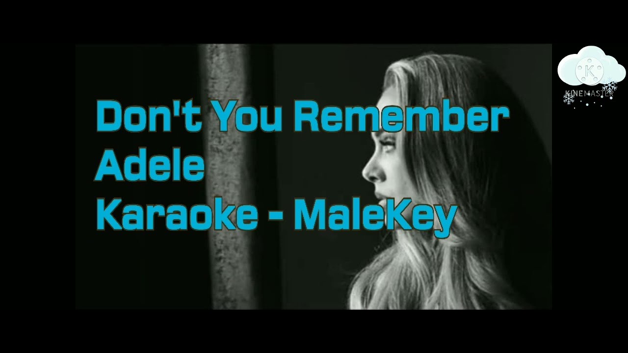 DON'T YOU REMEMBER - ADELE ( KARAOKE - MALE KEY )