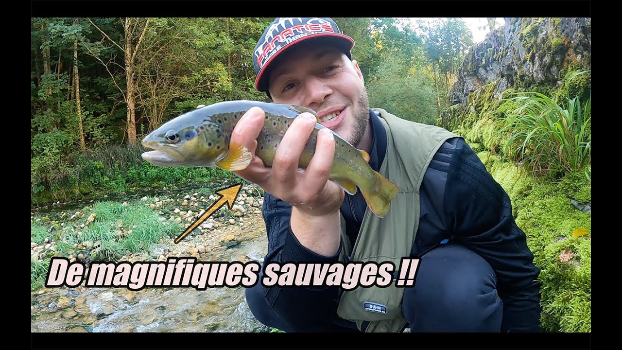 On PECHE la TRUITE dans les MONTAGNES du JURA : des belles SAUVAGES pour la fermeture !