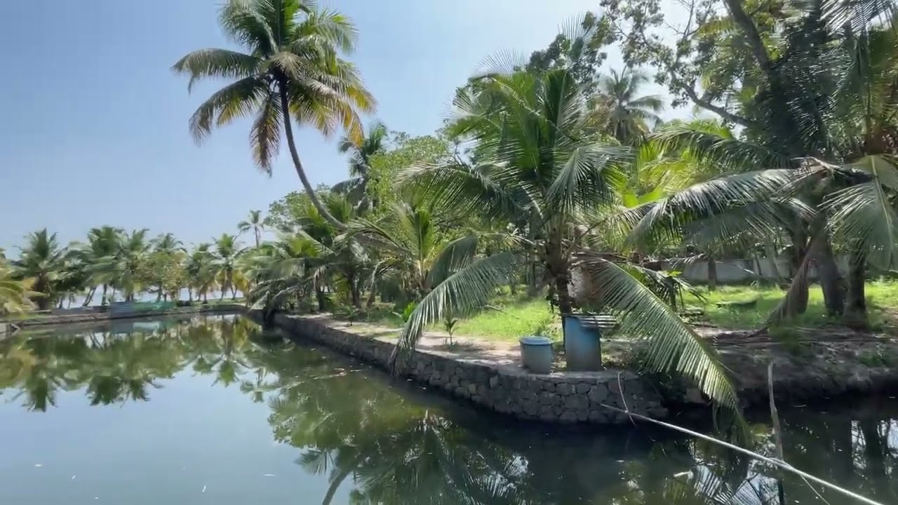 Beautiful Lake Front Land For Sale In Alleppey, Cherthala