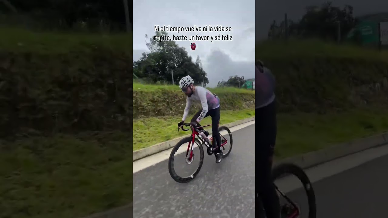 Ride with styles - Elves Vanyar Pro