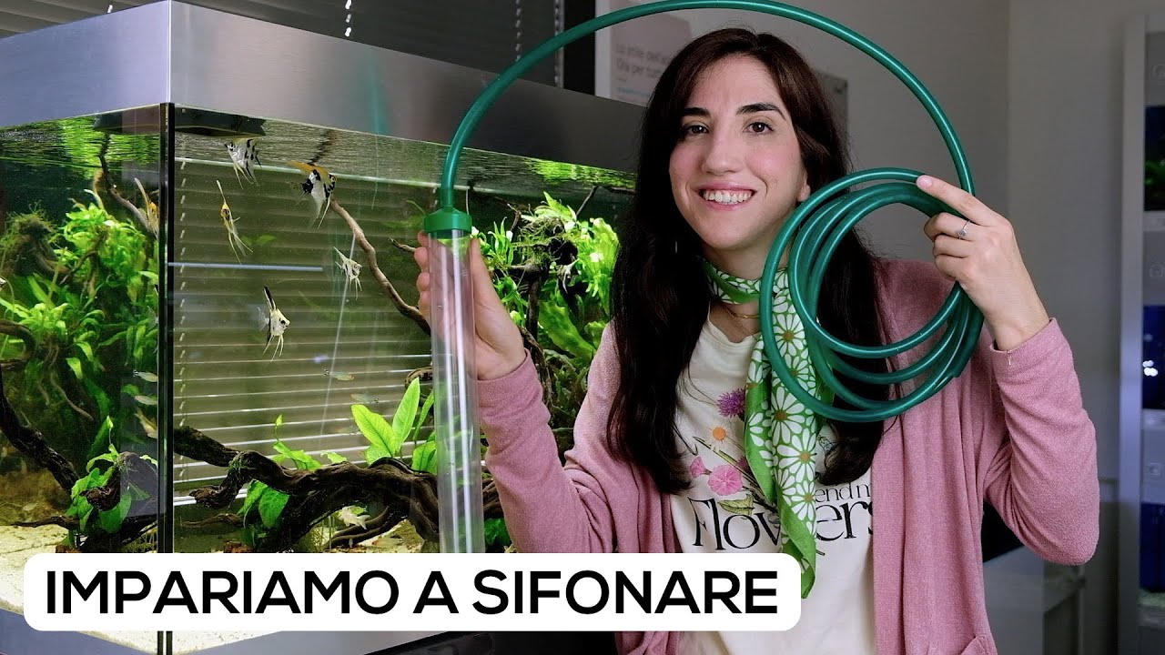La PULIZIA del FONDO in ACQUARIO - Come usare un sifone?