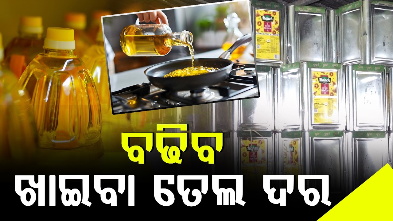 ବଢିବ ଖାଇବା ତେଲ ଦର  ll FOCUS PLUS ||