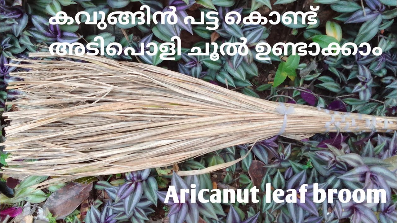 കവുങ്ങിൻ പട്ട കൊണ്ടു അടിപൊളി ചൂലുണ്ടാക്കാം//How to make broom with aricanut leaf#aricanutleafbroom.
