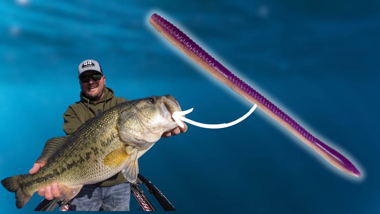 EVERYTHING You Need To Know About FINESSE WORMS To Start Catching BASS!