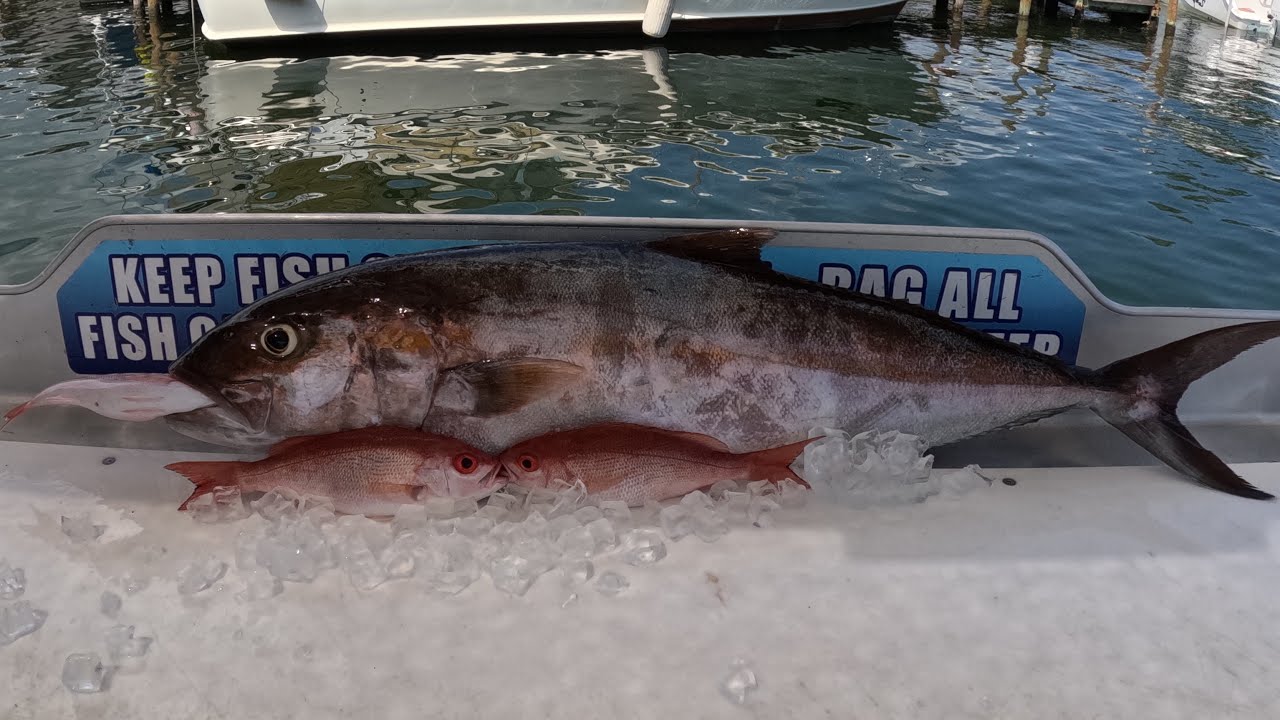 Hunting for Amberjack with Captain Chuck Madden/ Above the Salt Fishing Charter!!