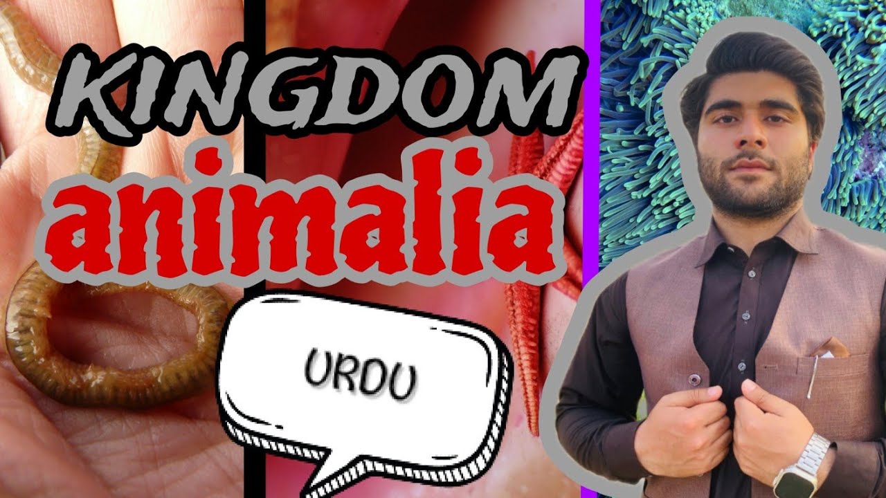 Kingdom animalia in Urdu/@skknowledgestrokes/ class 9th chapter 01 biology 