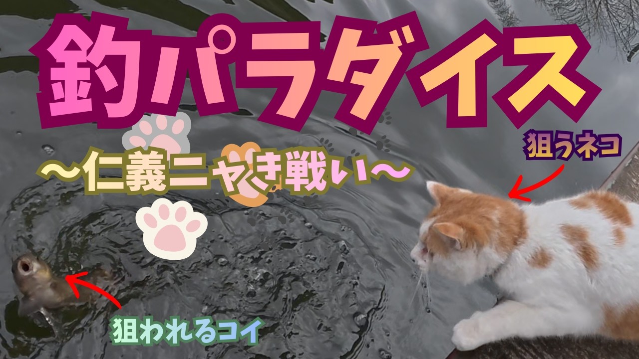 【イベント告知あり】バストラウト券でできるって知ってた？釣パラでコイ釣りをやってみたらネコが集まってきた。