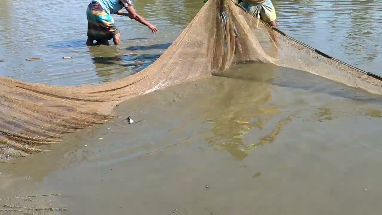 Best net fishing video 
