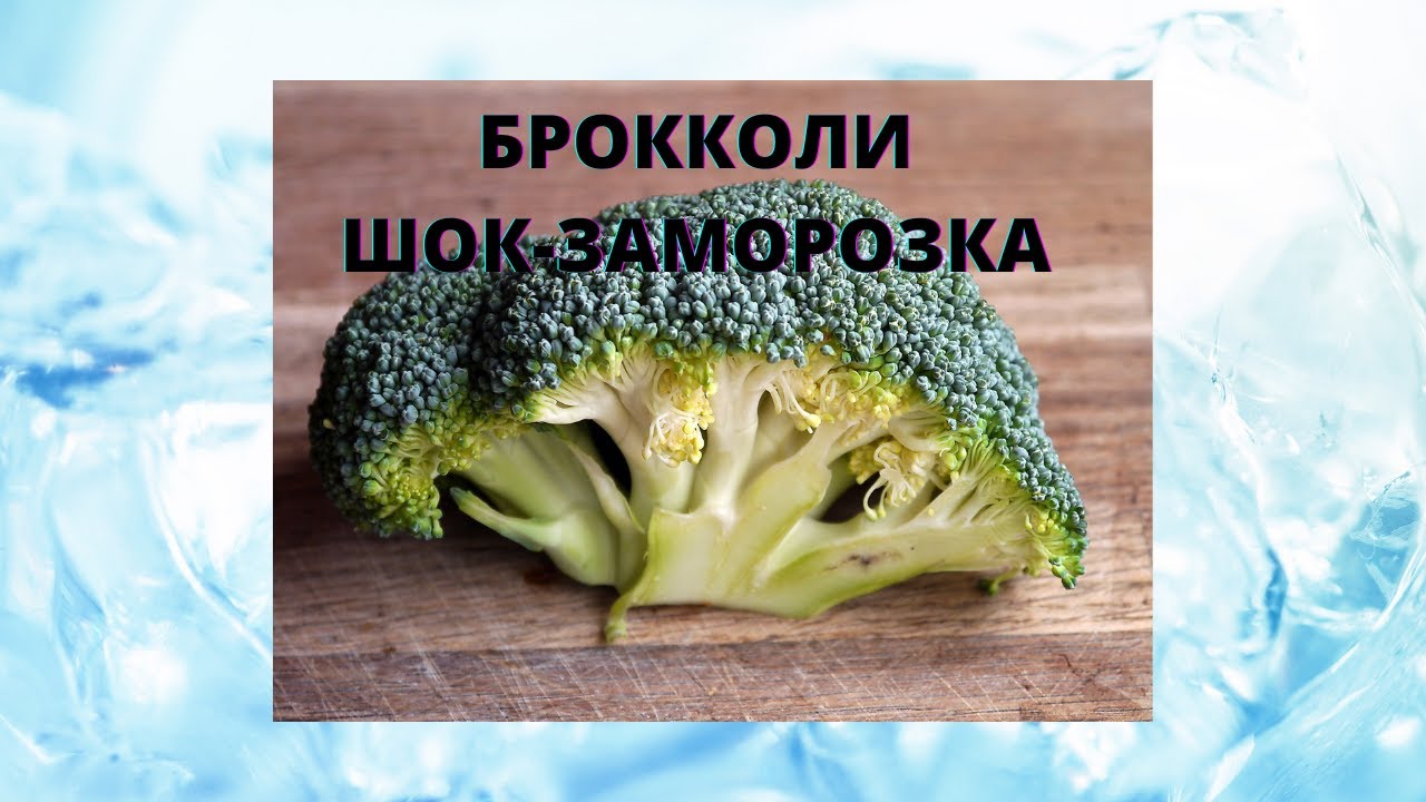 Брокколи * Как сохранить в зиму без хлопот * ШОК заморозка * Рецепты для ленивых