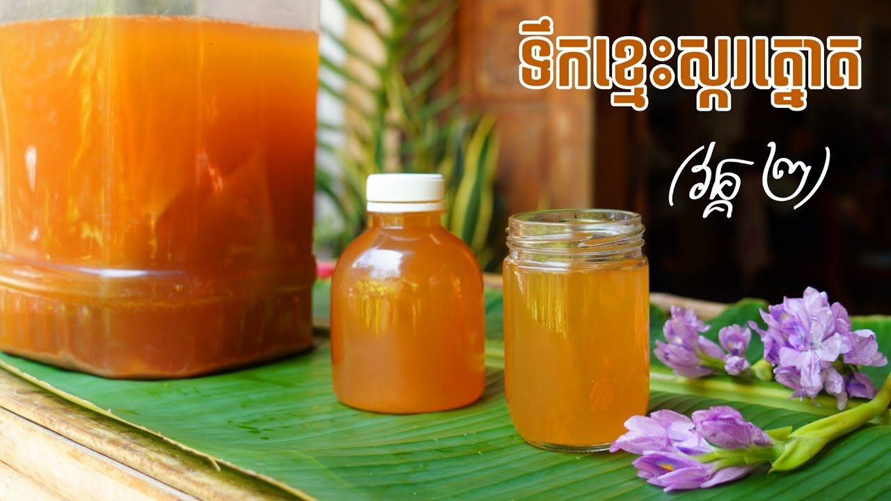 ទឹកខ្មេះត្នោតវគ្គ២ How to Make Vinegar from Sugar Palm Vol. 2