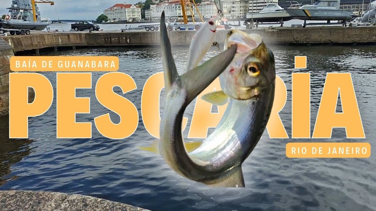 Pescando no coração do Rio 🎣 (Praça XV + Museu do Amanhã) 