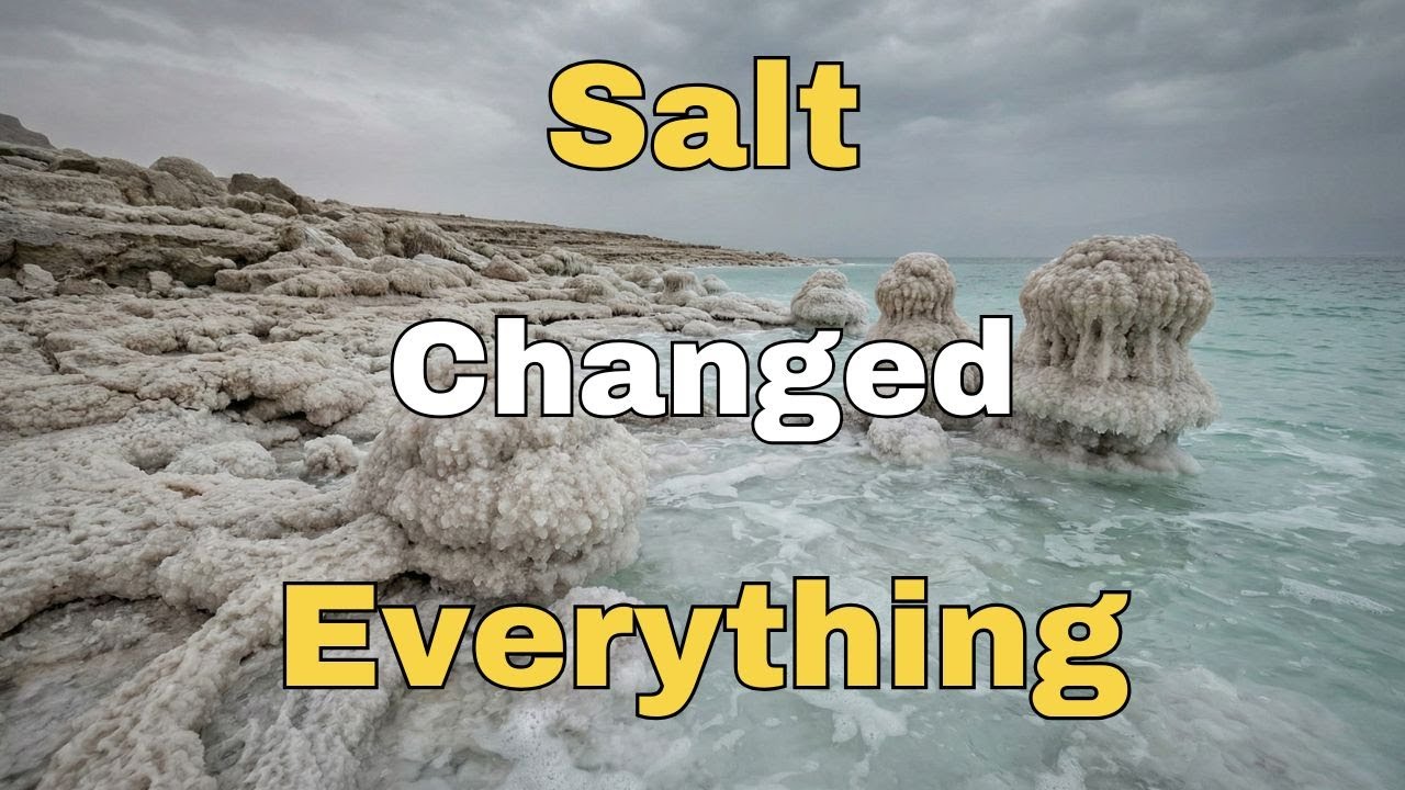 Rivers Flow Into the Ocean, So Why Isn't Everything Salty?