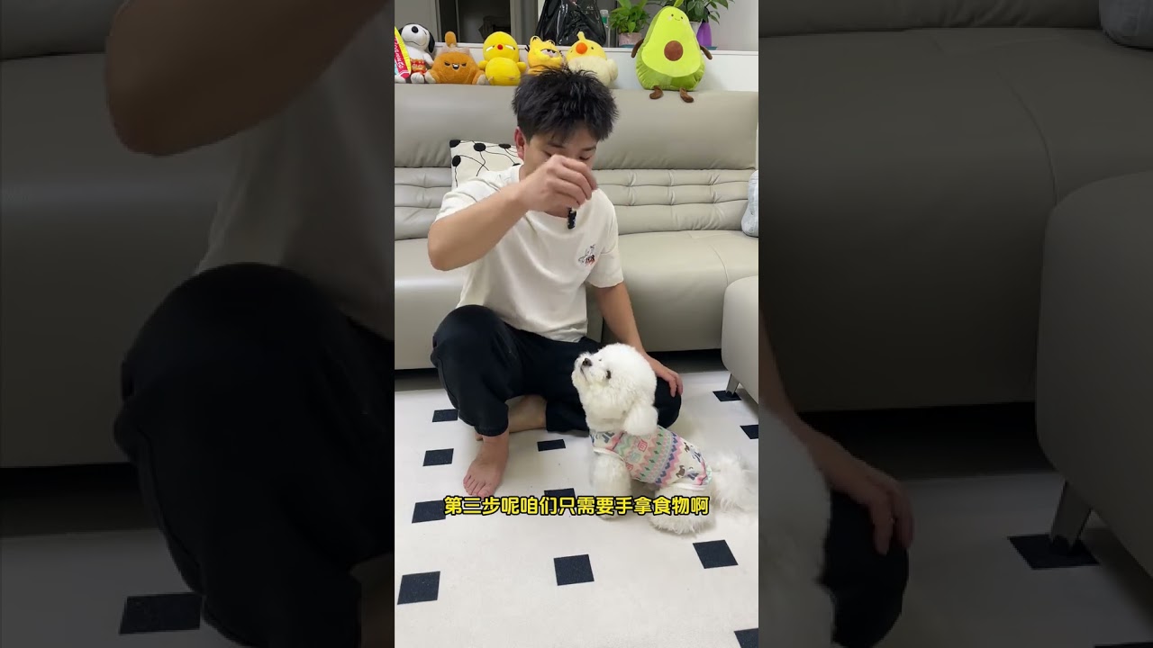狗狗拜拜技能一分钟教给大家！训犬 狗子技能 狗狗拜拜