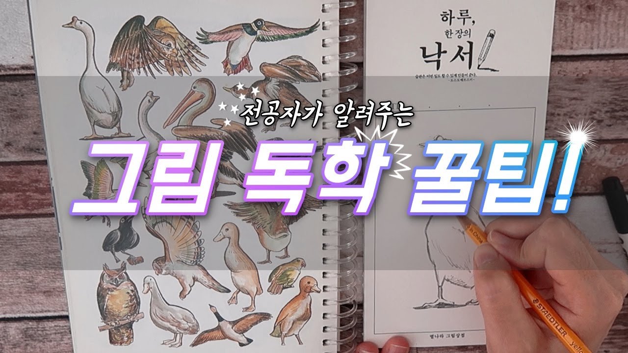 🎨그림 독학 꿀팁! 전공자의 조언!🎨/별나라⭐손그림강좌
